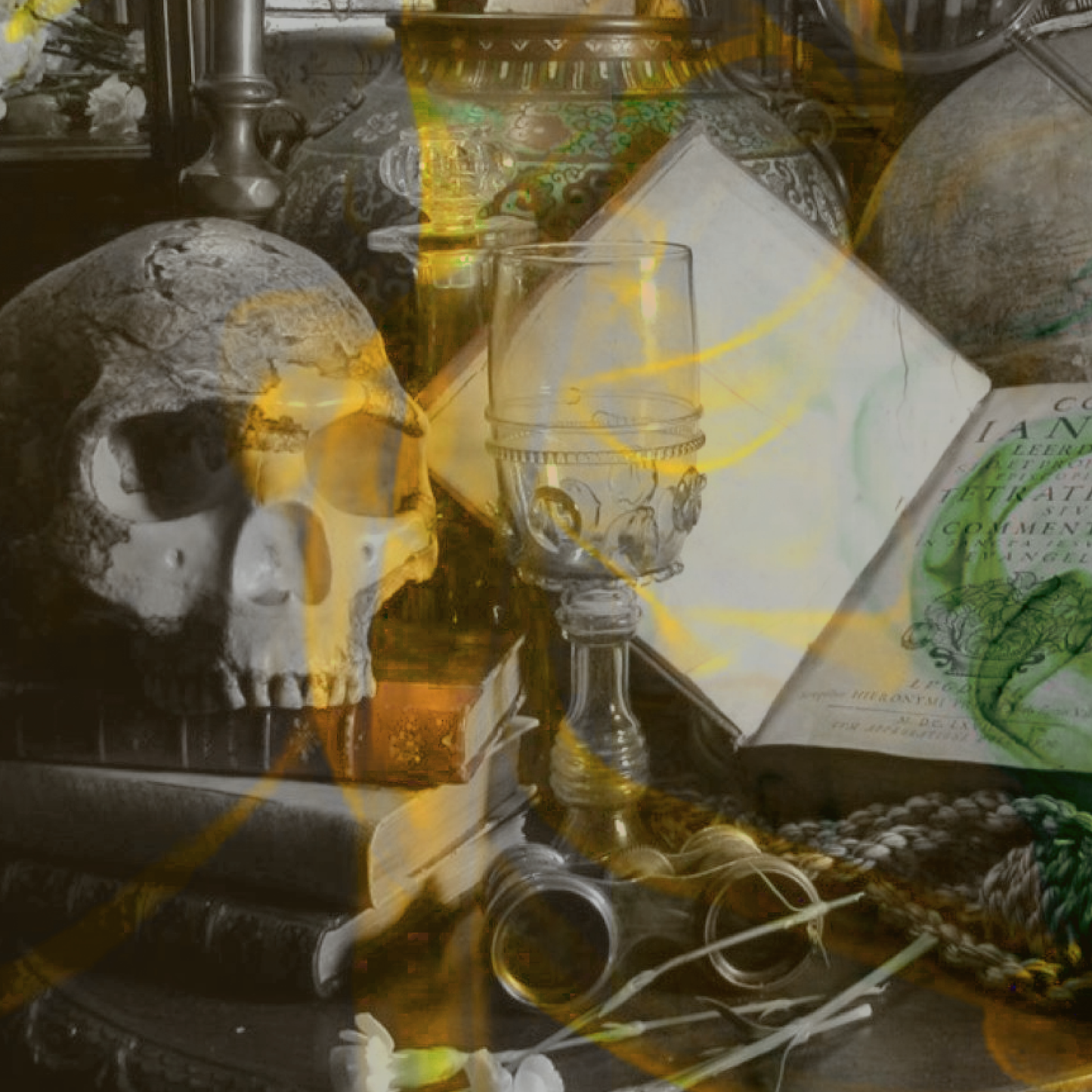 Oddities Shoppe Wax Melts