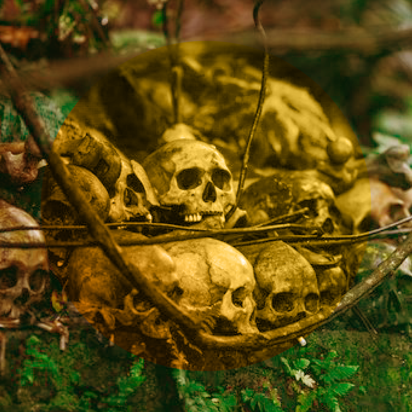 Golden Skull Wax Melts